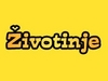 Zivotinje